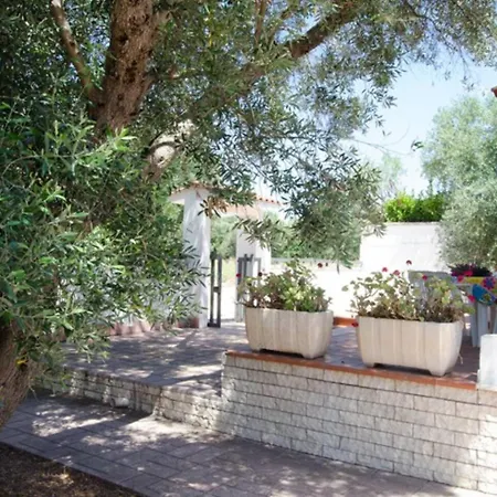 Antonella Nel Boomerang Village A